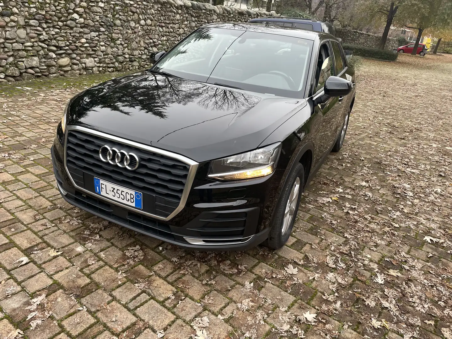 Audi Q2 1.6 tdi Cv110- S-Tronic -Business-Neop-Mod2018 - 1