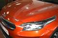 Kia XCeed 1.6 MHEV iMT Drive 136 Arancione - thumbnail 7