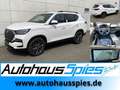 SsangYong Rexton 2.2 E-XDI 4WD 8AT MY25  Black 3.5t AHL GSD ACC 360 Blanc - thumbnail 1