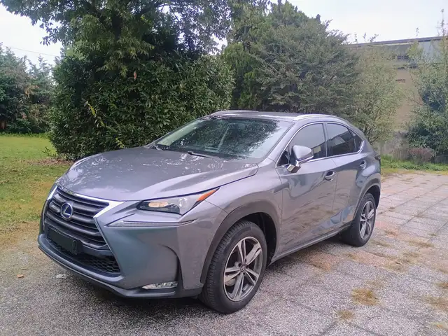 Lexus NX 300