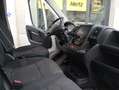 Opel Movano OPEL MOVANO 2.2 TDI 3 POSTI Bianco - thumbnail 4
