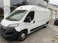 Opel Movano MOVANO 35 2.2 blueHDI 140S&S L3H2 FURGONE EDITION Weiß - thumbnail 15