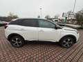 Peugeot 3008 BlueHDi 120 S&S EAT6 GT Line Bianco - thumbnail 14