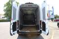 Ford Transit Trend 350 L3H3*170PS*Kamera*Express Line*PDC* Blanc - thumbnail 4