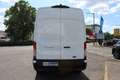 Ford Transit Trend 350 L3H3*170PS*Kamera*Express Line*PDC* Blanc - thumbnail 3