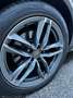 Audi A6 allroad 3.0 tdi Business Plus 245cv s-tronic Nero - thumbnail 5