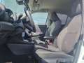 Toyota Yaris Cross Cross 1,5 l Petrol 4x2, Active Weiß - thumbnail 15