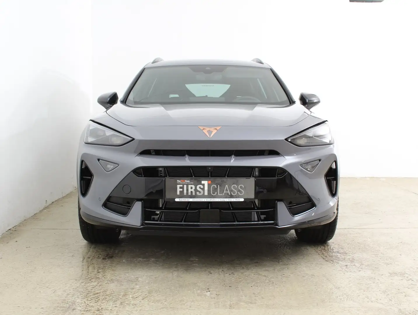 CUPRA Formentor 2.0 TSI 204 PS DSG 4Drive Grau - 2