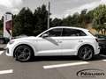 Audi SQ5 3.0 TDI q AT NAVI KAMERA VC SHZ PDC LED Beyaz - thumbnail 5