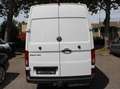 Volkswagen Crafter Kasten 35 lang+Hoch*AHK*Kamera*6 Sitzer Blanc - thumbnail 5