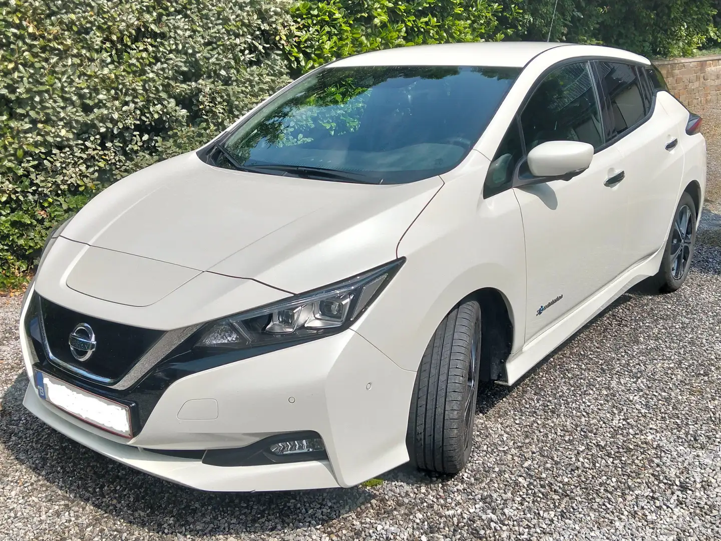 Nissan Leaf 40 kWh Tekna  compatible Combo CCS Wit - 1