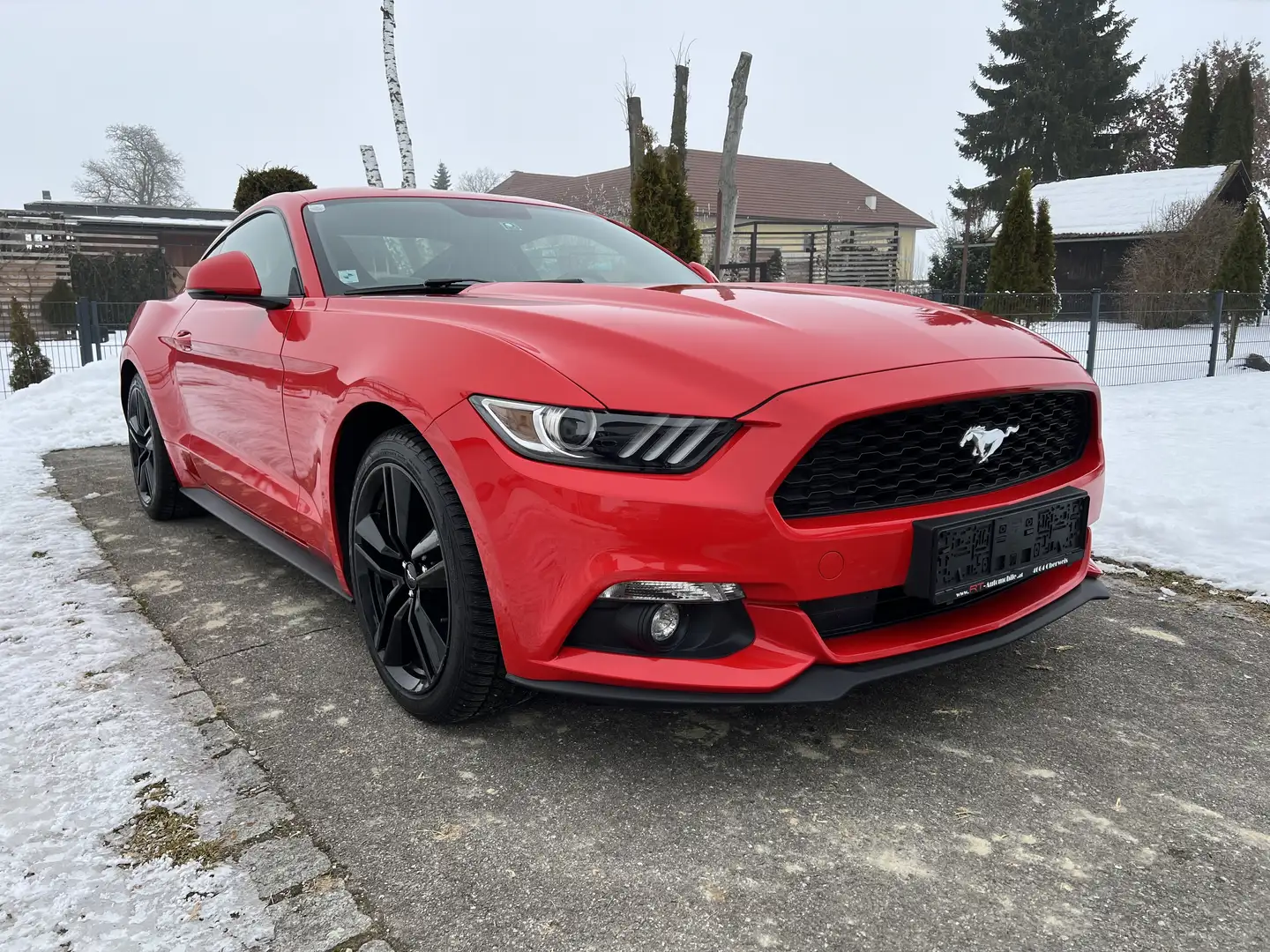 Ford Mustang 2,3 EcoBoost - 1