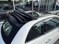 Fiat 500C 0.9 TwinAir Turbo Cult | NL-auto | Clima | Cruisec Wit - thumbnail 8