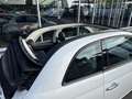 Fiat 500C 0.9 TwinAir Turbo Cult | NL-auto | Clima | Cruisec Wit - thumbnail 9