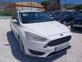 Ford Focus 1.5TDCi Trend 95 Blanc - thumbnail 3