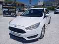 Ford Focus 1.5TDCi Trend 95 Blanc - thumbnail 1