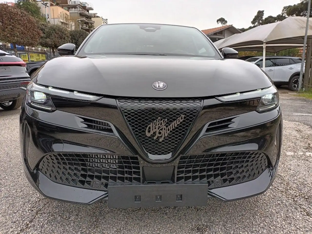 Alfa Romeo Junior 2026