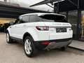 Land Rover Range Rover Evoque 2,2 TD4*2.Besitz*AHK*Leder*SHZ*PDC* Weiß - thumbnail 8