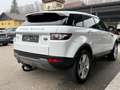 Land Rover Range Rover Evoque 2,2 TD4*2.Besitz*AHK*Leder*SHZ*PDC* White - thumbnail 11
