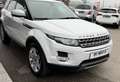 Land Rover Range Rover Evoque 2,2 TD4*2.Besitz*AHK*Leder*SHZ*PDC* White - thumbnail 4