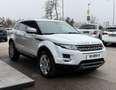 Land Rover Range Rover Evoque 2,2 TD4*2.Besitz*AHK*Leder*SHZ*PDC* White - thumbnail 3