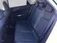 Lexus NX350h 4x4 Luxury Line + Panorama Modell2026 Blanco - thumbnail 13