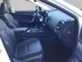 Lexus NX350h 4x4 Luxury Line + Panorama Modell2026 Blanco - thumbnail 14