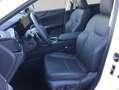Lexus NX350h 4x4 Luxury Line + Panorama Modell2026 Blanco - thumbnail 8