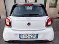 smart forFour 1.0 BENZINA 5 PORTE NEOPATENTATI  2017 MOLTO BELLA Weiß - thumbnail 6