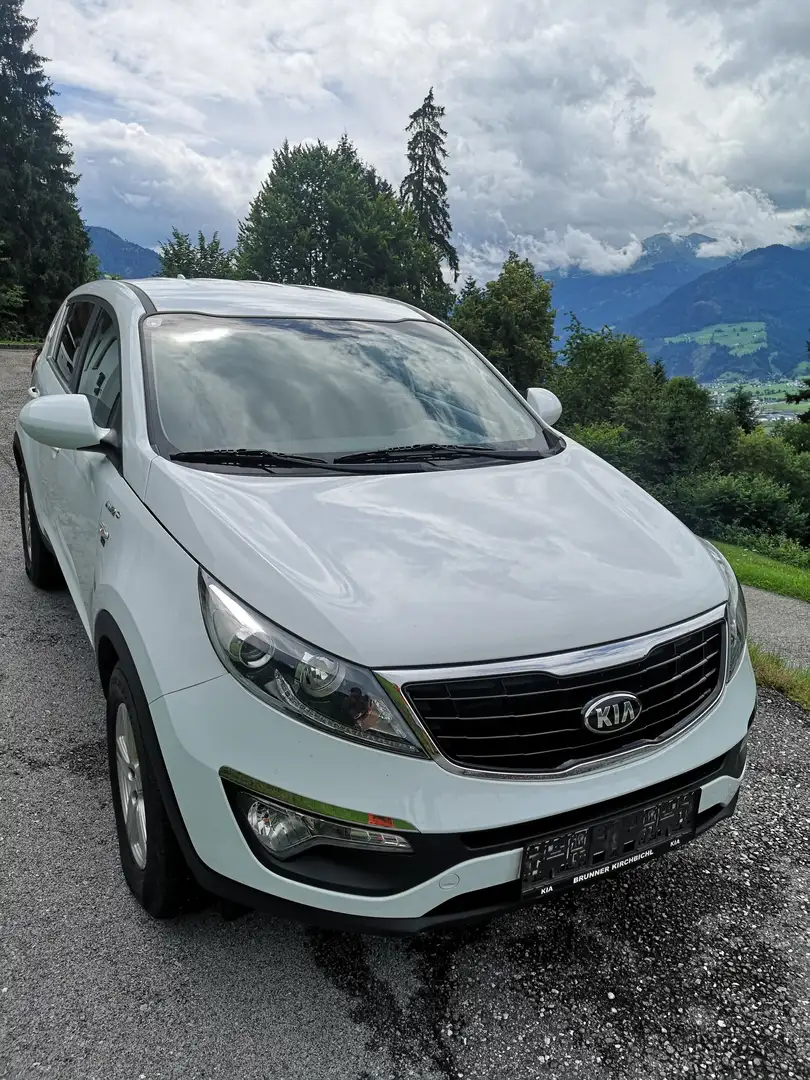 Kia Sportage Sportage Cool 2,0 CRDi AWD Österreich-Paket Österreich-Paket Weiß - 1