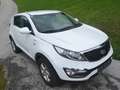Kia Sportage Sportage Cool 2,0 CRDi AWD Österreich-Paket Österreich-Paket Weiß - thumbnail 7