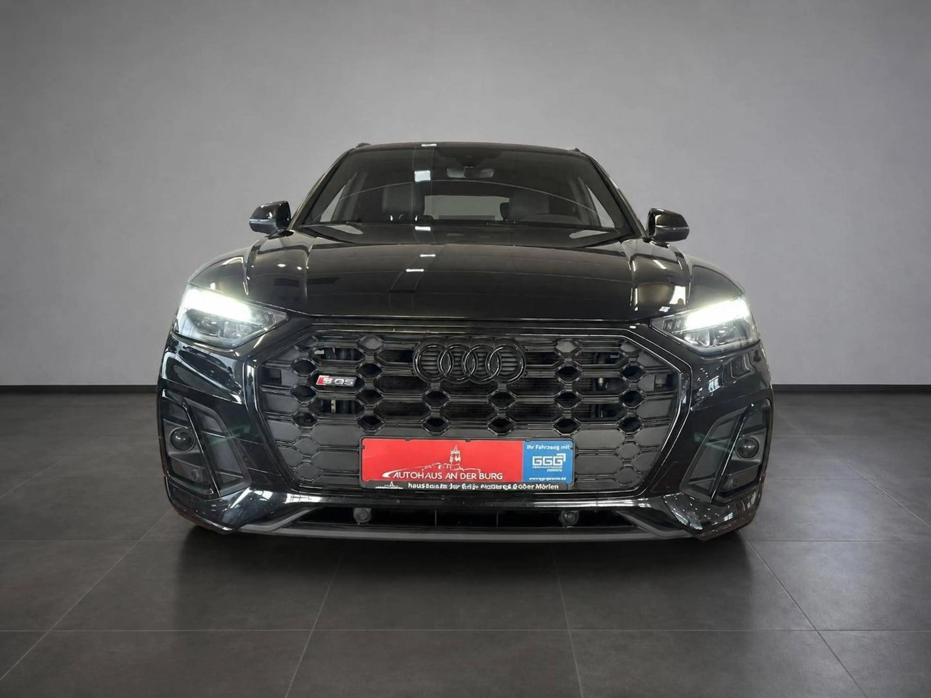 Audi SQ5 /Pano/Matrix/2.Hand — photo 2
