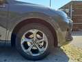 Ford Kuga ST-Line 2,5L FHEV 183PS A AWD Grau - thumbnail 15