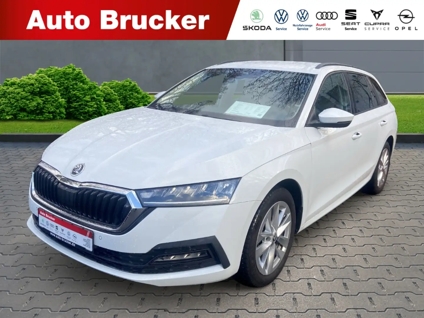 Skoda Octavia Combi Ambition 2.0 TDI+Alufelgen+Navi+Klimaautomat Weiß - 1