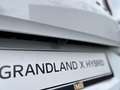 Opel Grandland 1.6 Turbo Hybrid Level 3 |LEX PIXEL VERLICHTING|NA - thumbnail 13