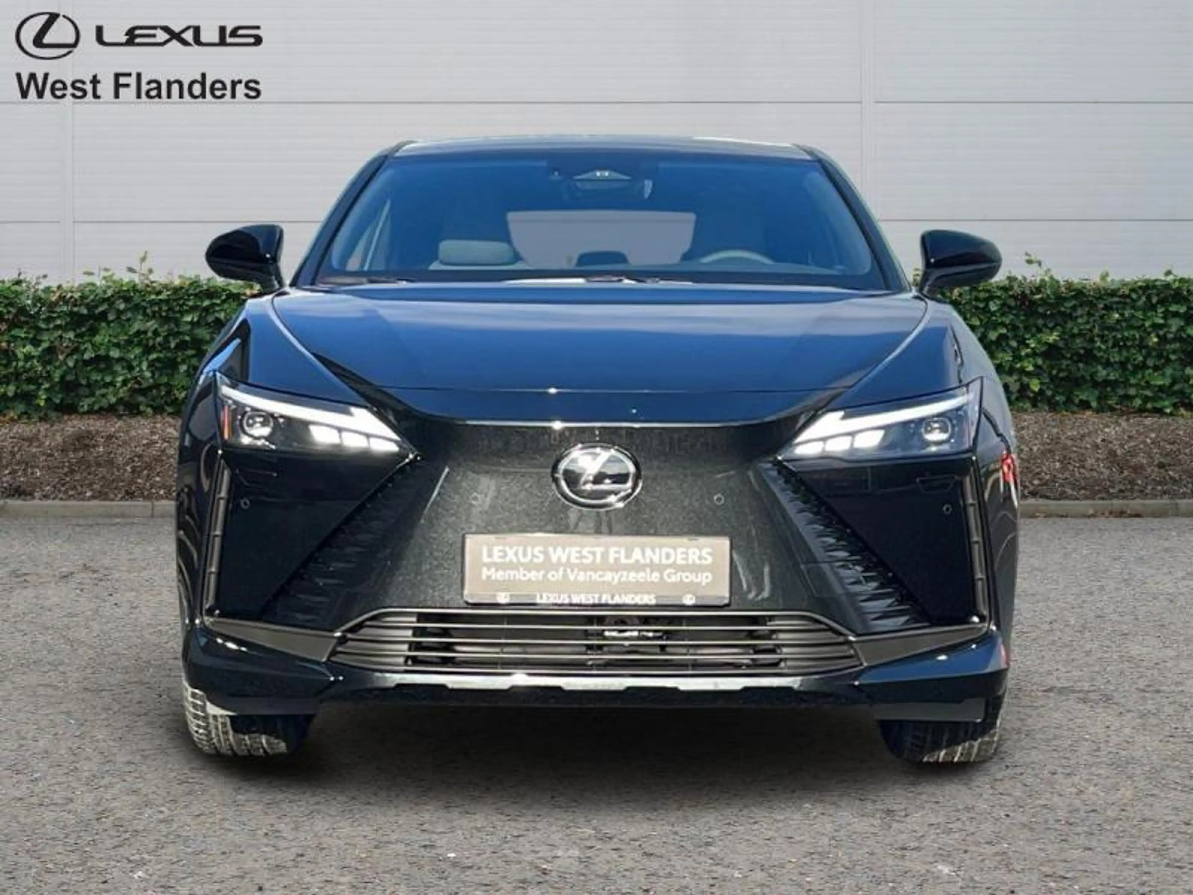 Lexus RZ Executive Line + PANOROOF — photo 2
