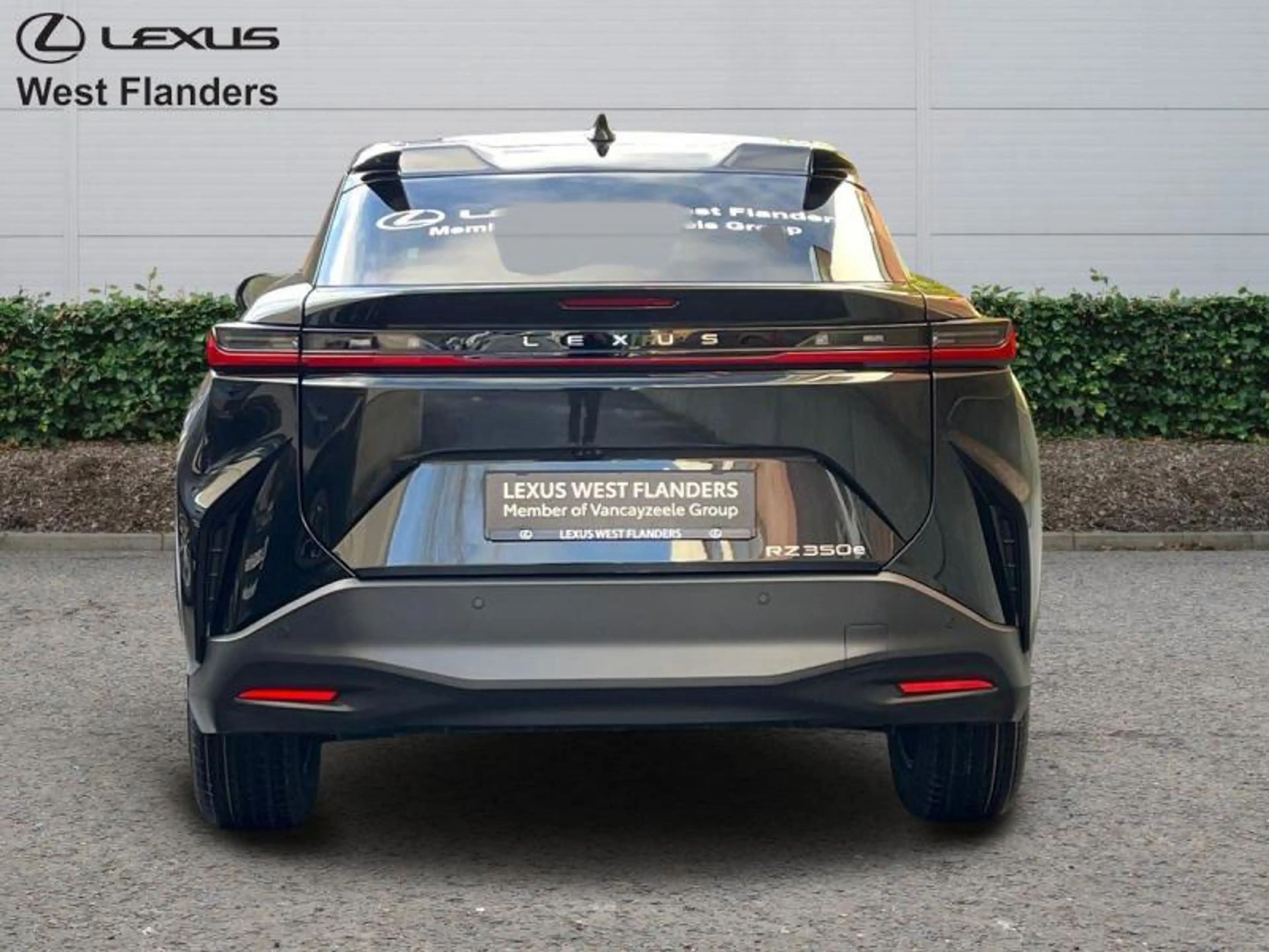 Lexus RZ Executive Line + PANOROOF — photo 6