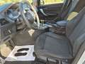 BMW 116 116d Msport 5p auto - thumbnail 11