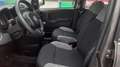 Fiat Panda Panda III 2021 1.0 firefly hybrid s Grigio - thumbnail 7
