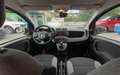Fiat Panda Panda III 2021 1.0 firefly hybrid s Grigio - thumbnail 11
