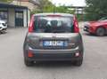Fiat Panda Panda III 2021 1.0 firefly hybrid s Grigio - thumbnail 4