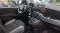 Fiat Panda Panda III 2021 1.0 firefly hybrid s Grigio - thumbnail 9