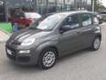 Fiat Panda Panda III 2021 1.0 firefly hybrid s Grigio - thumbnail 2