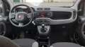 Fiat Panda Panda III 2021 1.0 firefly hybrid s Grigio - thumbnail 12