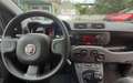 Fiat Panda Panda III 2021 1.0 firefly hybrid s Grigio - thumbnail 10