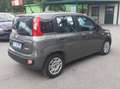Fiat Panda Panda III 2021 1.0 firefly hybrid s Grigio - thumbnail 5