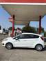 Ford Fiesta 5p 1.4 Black&White Gpl 95cv - thumbnail 3