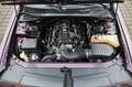 Dodge Challenger 5.7 R/T/PerfControl/Alpine/Kamera/R20 Violett - thumbnail 20