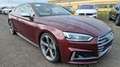 Audi S5 Coupe 3.0 TFSI quattro Matrix Head Up Digital Rot - thumbnail 1