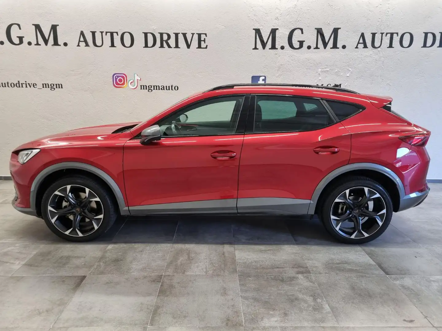 CUPRA Formentor 2.0 TDI 4Drive DSG Rot - 2